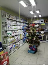   , , , .  /    . , 15  2