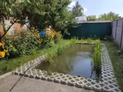 Сдается объект Сумская, Сумы, Ковпаковский, Тополянська, 9 фото 8 Сдается объект Сумская, Сумы, Ковпаковский, Тополянська, 9 фото 8