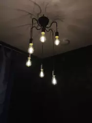 ������� ������ �����, ����, �������, ������������ ���� 5