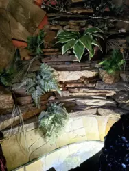 Сдается объект Сумская, Сумы, Заречный, пр-т Свободи фото 1 Сдается объект Сумская, Сумы, Заречный, пр-т Свободи фото 1