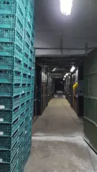 ������� ������ ����, ������� ���� 2