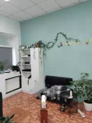 Сдается объект Сумская, Сумы, Заречный, пр-т Свободи фото 5 Сдается объект Сумская, Сумы, Заречный, пр-т Свободи фото 5