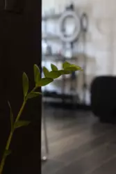 ������� ������ �����, ����, �������, ������������ ���� 7