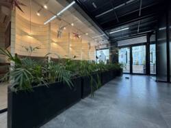 ������� ��'��� ѳ����� �������� ���., �����-���������, �����-����������, ����� ���� 20