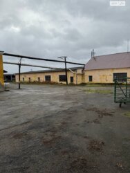 ������� ��'��� �������� ���., ��������, ������������, ����� ��� ���� 13