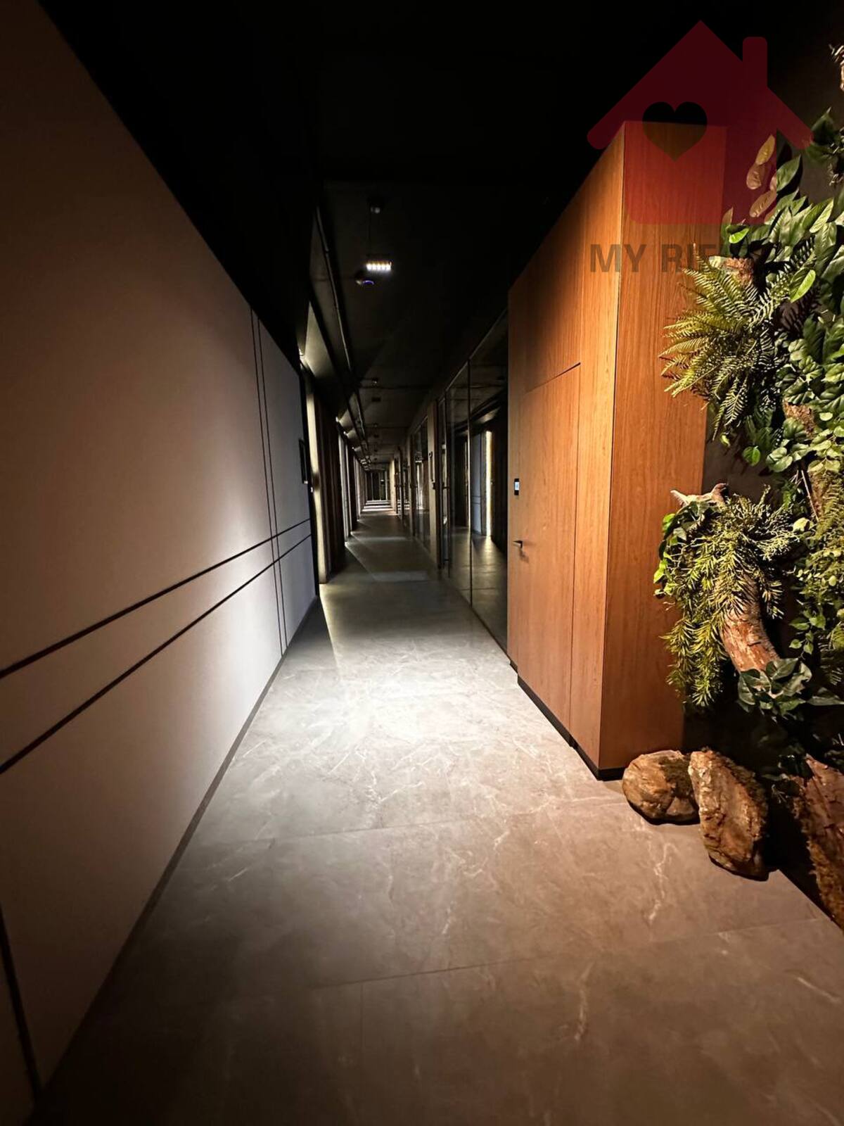 ������ ��������� ���� 1