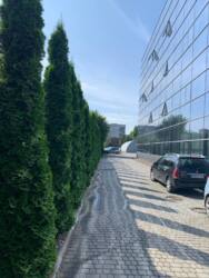 Оренда офісних приміщеньпо вул.Богомольця фото 7 Оренда офісних приміщеньпо вул.Богомольця фото 7