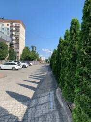 Оренда офісних приміщеньпо вул.Богомольця фото 8 Оренда офісних приміщеньпо вул.Богомольця фото 8