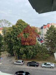 Оренда офісного приміщення пл.Поштова. фото 6 Оренда офісного приміщення пл.Поштова. фото 6