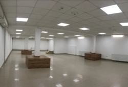     .  쳿,  238 .  5