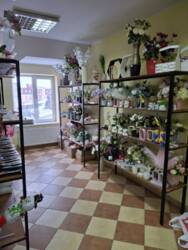 ������ ������������ ��������� � �. ��������� (����������, �������� �����) ���� 8