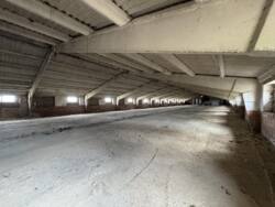 ������ ��������� �. ������ ���� 5