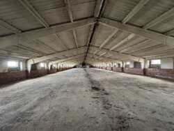 ������ ��������� �. ������ ���� 11