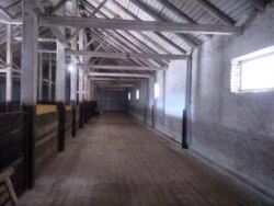 ��������� ��������� ������ ���� 5