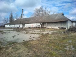 ��������� ��������� ������ ���� 10