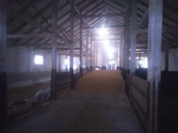 ��������� ��������� ������ ���� 1