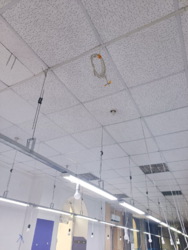 Аренда коммерческого помещения в ЦЕНТРЕ на красной линии с отличной транспортной развязкой фото 3 Аренда коммерческого помещения в ЦЕНТРЕ на красной линии с отличной транспортной развязкой фото 3