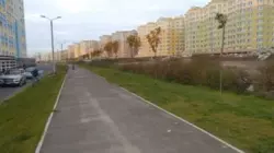  !!  .  4