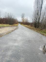 ������� ��������� ��������� � �������������� 700 ��.�. ���� 19