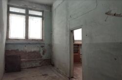 ������� ��������� ��������� � ���� ����, 265 ��.�. ������������� �����. ���� 5