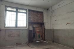 ������� ��������� ��������� � ���� ����, 265 ��.�. ������������� �����. ���� 8