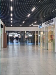      The Mall.   262 ..  1