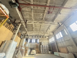 ������ ����������� �������� ���� 11