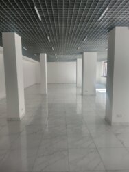 Здається комерційне приміщення вільного призначення 152 кв.м. Замостянський район фото 4 Здається комерційне приміщення вільного призначення 152 кв.м. Замостянський район фото 4