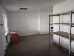 ������: �����ֲ��� ���� / ����� ���� 8