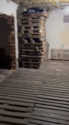 ������ ������-���������� ���������. ���� 15