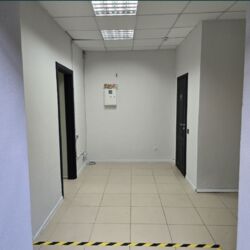  ' ,   5