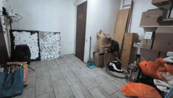  ' ,   14