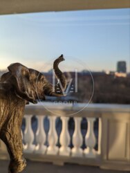 Deluxe Office S=430 sqr.m. ���� 15