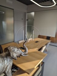 Deluxe Office S=430 sqr.m. ���� 17