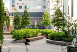 ������ ���������� ��������� ����� � ����� ���� ���� 17