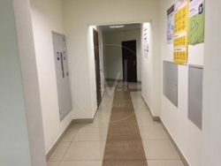 ������ �������� ��������� 309,7 ��.�. �-� �. �������� 33� �� ������ ����� ������������� ����� ���� 13