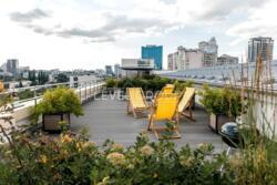 ������ ���������� ��������� ����� � ����� ���� ���� 19