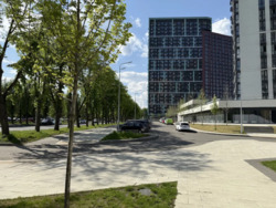         'ĳ '  10