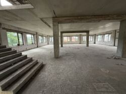 ������ ��������� - ������ ������ ������ 2000��.�. ���������� ��������� ���� 11