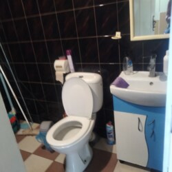  ' , ,  (), ,  ., 106  9