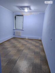  ' , ,  (), ,   () .  4