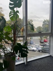 ������� ��'��� 600-����, 1, ³�����, ³�������, ����������, ����'���� ���� 4