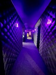 �������� ������ ������������ ���������� ������������ �������� ��� 320 �2. ��� % ���� 5