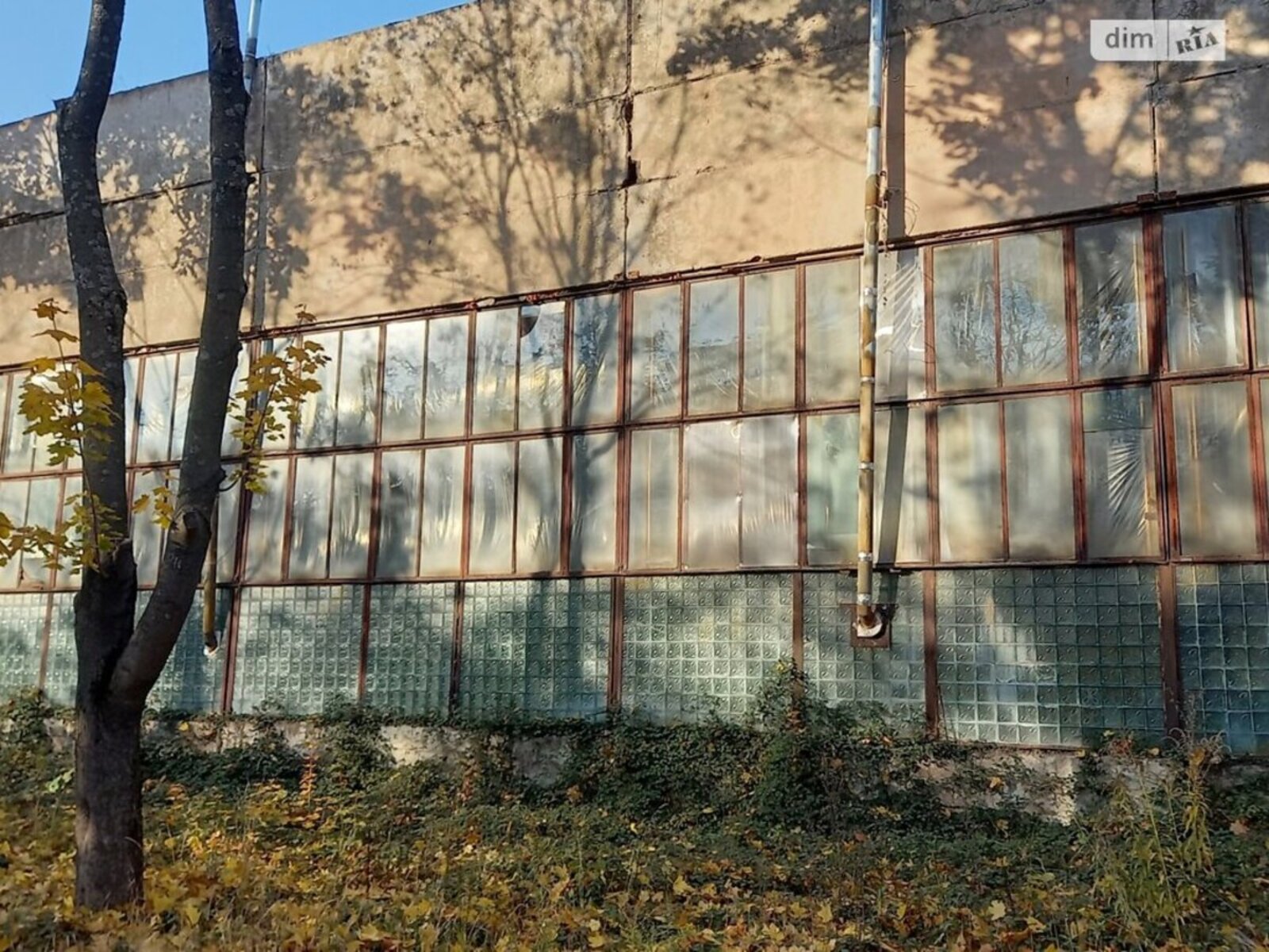 Здається об'єкт Закарпатська, Ужгород, Болгарська 3 фото 1 Здається об'єкт Закарпатська, Ужгород, Болгарська 3 фото 1