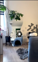 Оренда робочого місця. Ужгород. фото 4 Оренда робочого місця. Ужгород. фото 4