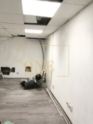 🏙️    82.5 ²   ,   ,      !  17