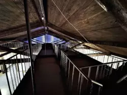 ������ ��������� � ����� ���� �� ��������,�������,�����... ���� 4