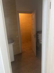 ������� ����� ���� 7