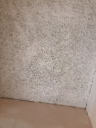 ������ ������������ ��������� ���� 5