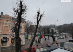 ������� ������ �����������, �����������, ����������� ���� 1